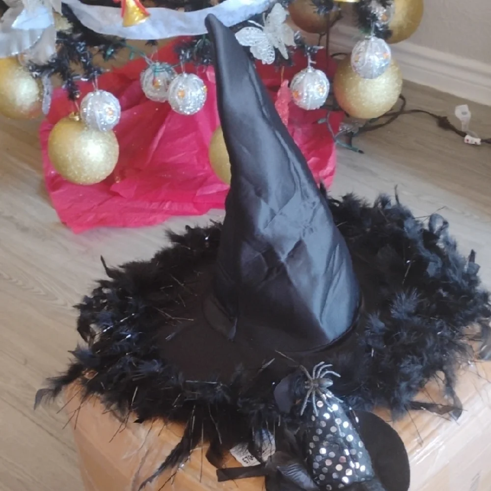 Black Witch Hat with Feather Trim